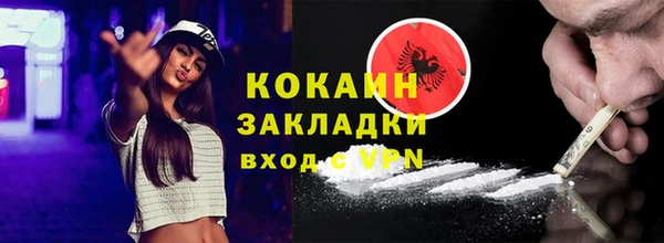 дживик Инта