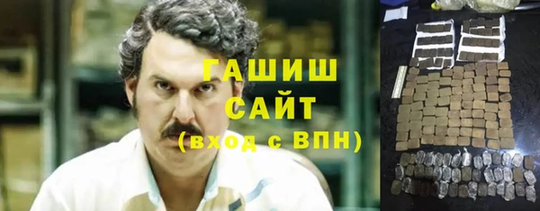 дживик Инта
