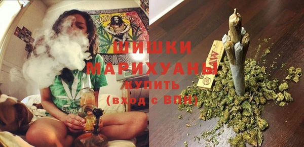 дживик Инта