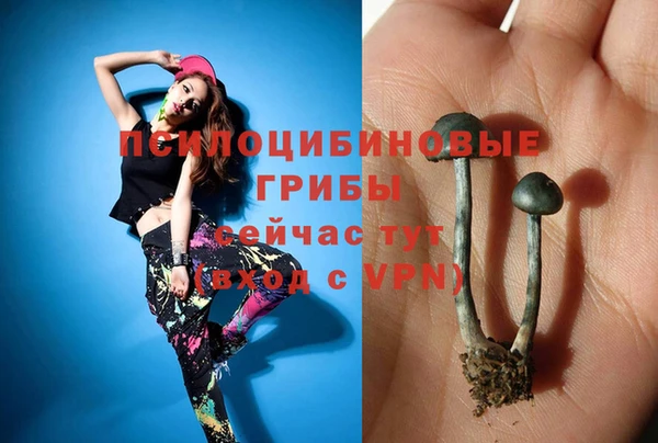 герыч Каменка