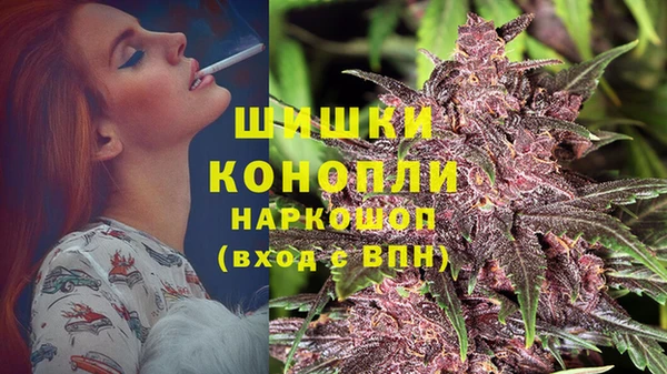 дживик Инта