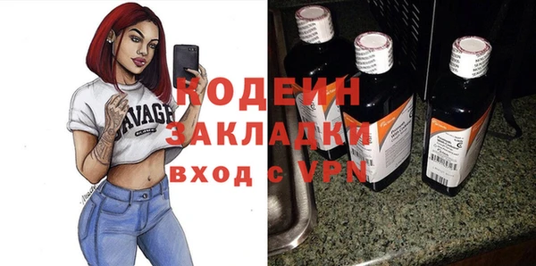 дживик Инта