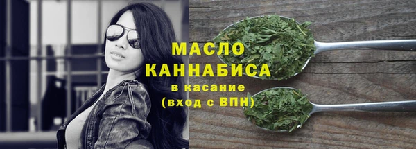 дживик Инта